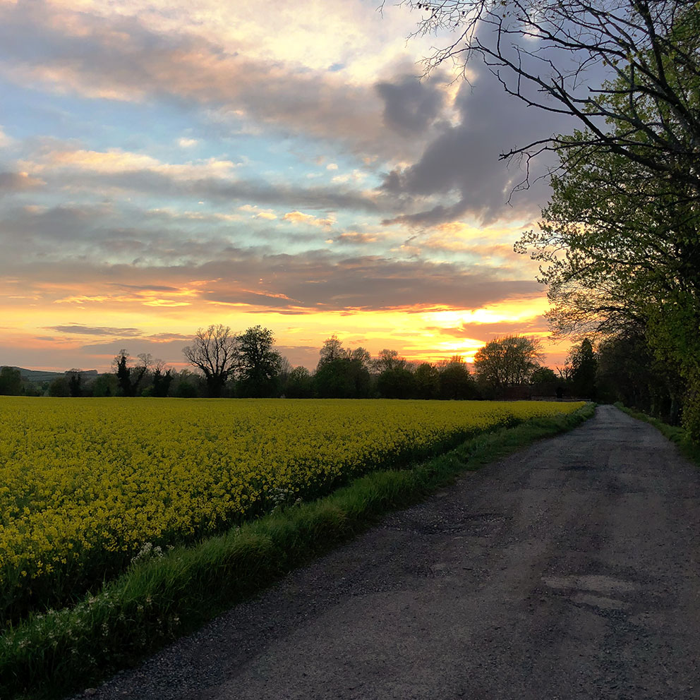 ASBCO farm https://shoffice.asbco.co.uk/wp-content/uploads/2019/11/ASBCO_Website_About_Image2.jpg